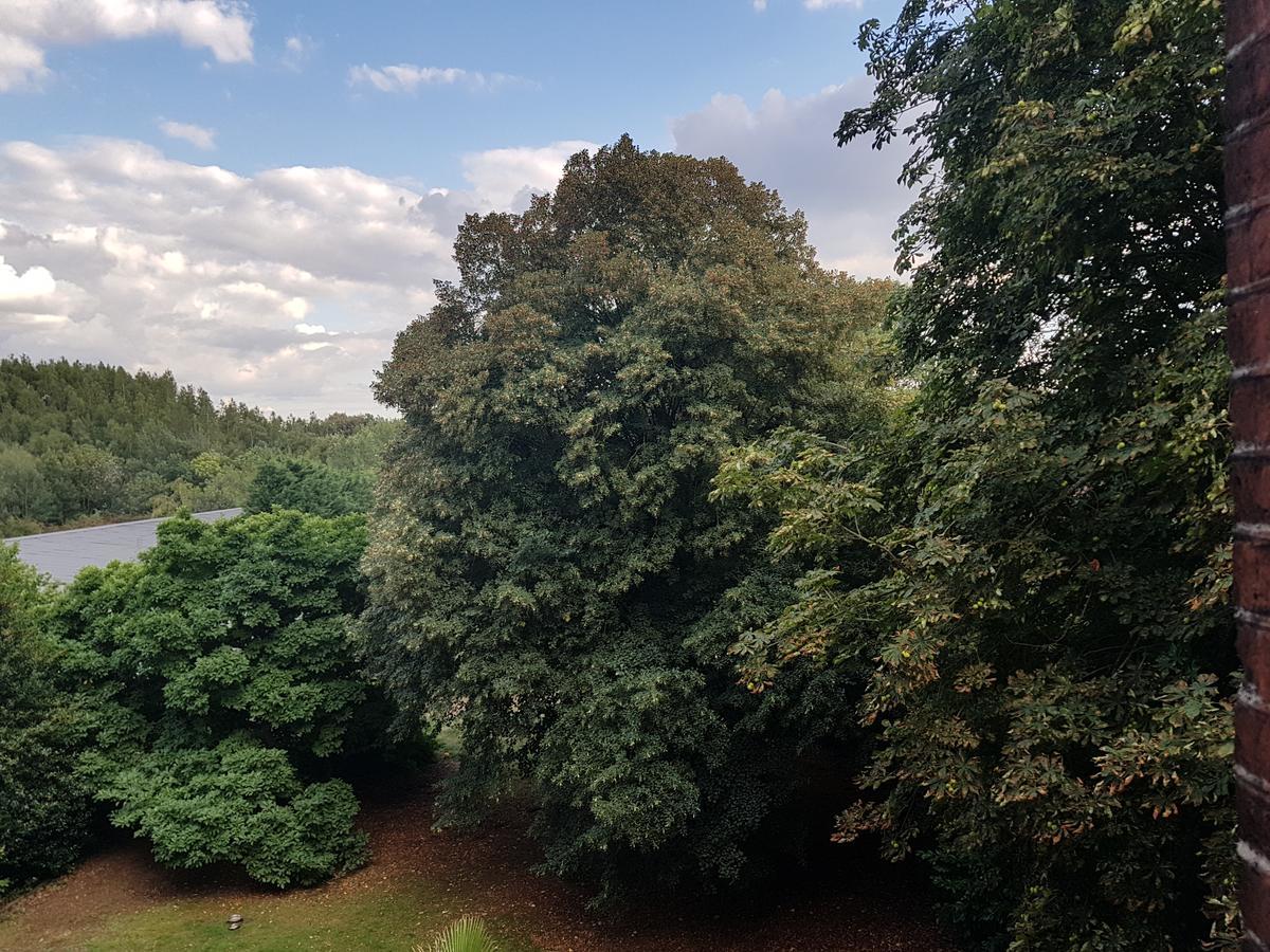 Chateau Lambert Moulinsart Hotel, Shuttle Airport, Long Term Parking, Snooker, Large Terrasse, Dinner, Breakfast Charleroi Exterior foto